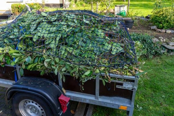 Best Yard Waste Removal  in Montpelier, IN